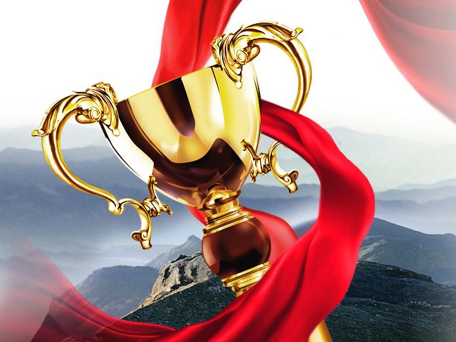 資質(zhì)榮譽(yù)